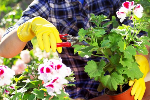 Front view of gardening team in Earls Court performing landscaping
