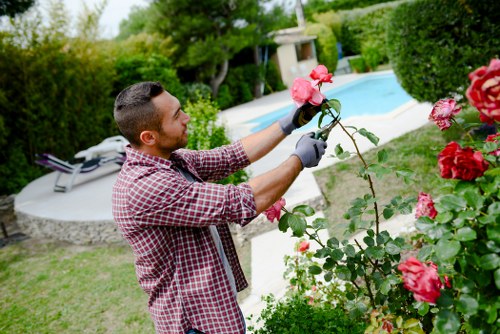 Gardening Earls Court team at work