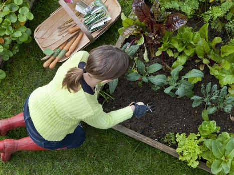 Gardeners clearing overgrowth and sorting green waste for licensed disposal